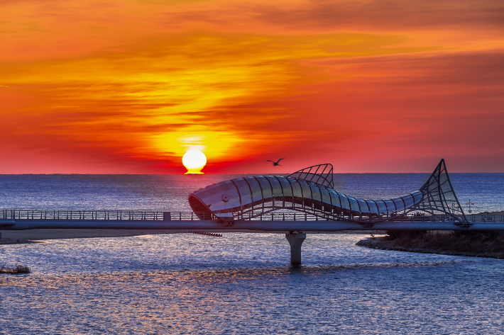 울진군 은어다리 일출. 울진군 제공