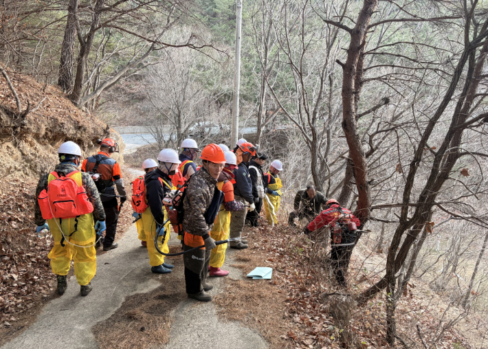 울진군이 소나무재선충병 확산 차단을 위해 예방나무주사를 놓고 있다. 울진군 제공