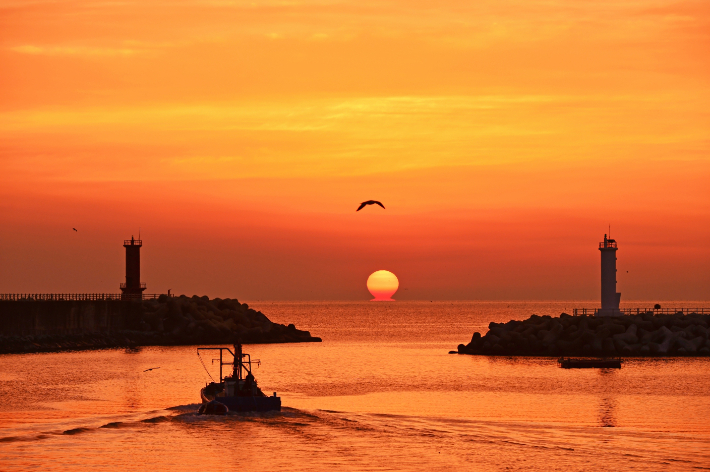 울진군 사동항 일출. 울진군 제공