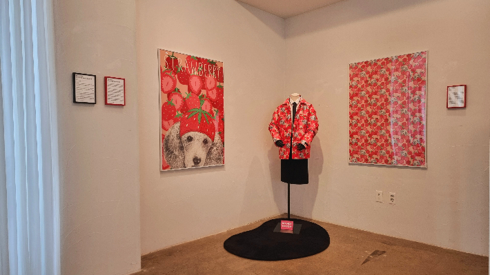 빵과 아트파티 전에 선보인 '댄디맥' 작품과 굿즈 의상. 홍 작가 제공