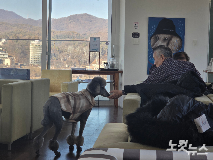 '카포레'에서 한 방문객이 '맥'을 반기고 있다. 곽인숙 기자  