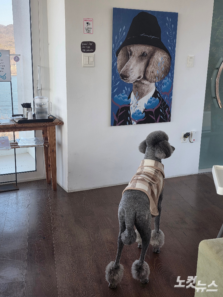 '카포레'에 있는 '맥'의 모습. 곽인숙 기자