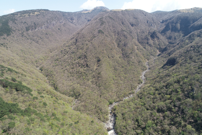 한라산 어리목계곡. 제주도 제공