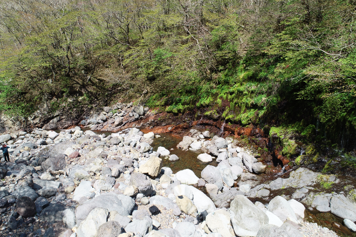 한라산 용천수. 제주도 제공