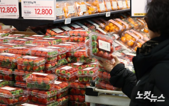 딸기 가격이 연말·연초 수요 증가로 고공행진을 이어가고 있는 가운데 5일 서울 시내의 한 대형마트에 시민들이 딸기를 구매하고 있다. 지난 2일 기준 딸기 중도매인 가격(2㎏)은 4만5980원으로 집계됐다. 이는 전년 순 평균(3만3740원)보다 약 36%, 평년 순 평균(3만2558원) 대비로는 40% 이상 높은 수준이다.