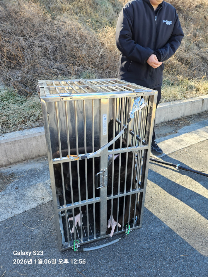 포항북부소방서 제공
