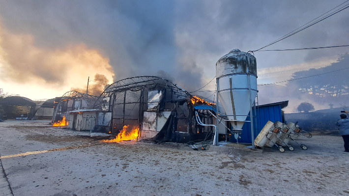 남원 양계장서 불…인명피해 없어