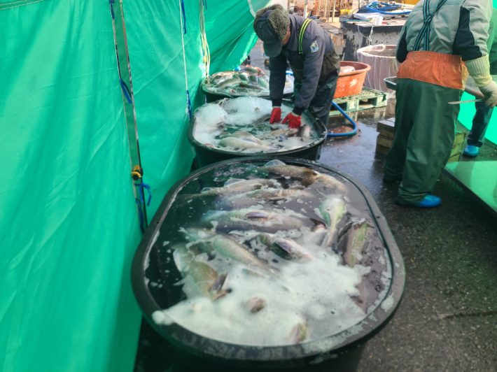대구. 경남도청 제공 