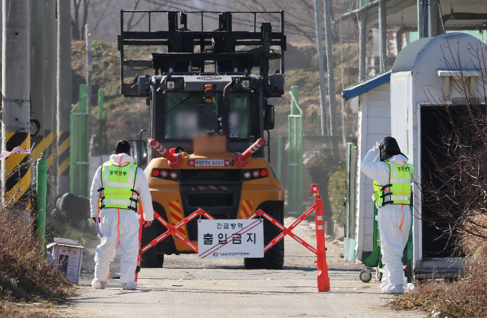 고병원성 조류인플루엔자(AI)가 발생한 경기도 평택시 산란계 농장 출입이 통제되고 있다. 연합뉴스