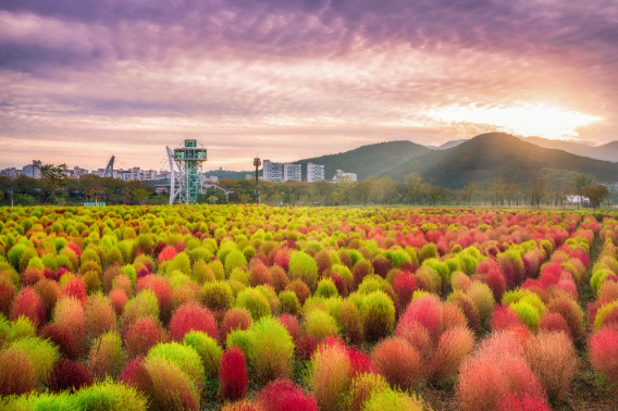 양산 황산공원. 경남도청 제공 