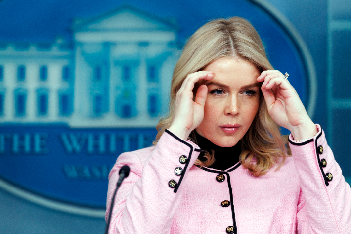 캐롤라인 레빗 백악관 대변인. 연합뉴스