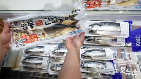 훌쩍 뛴 고등어 가격에…정부 