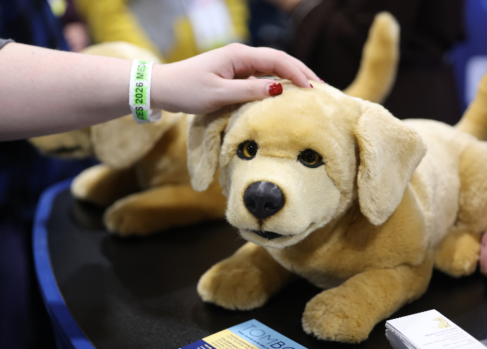 기사 내용과 무관한 사진. 연합뉴스