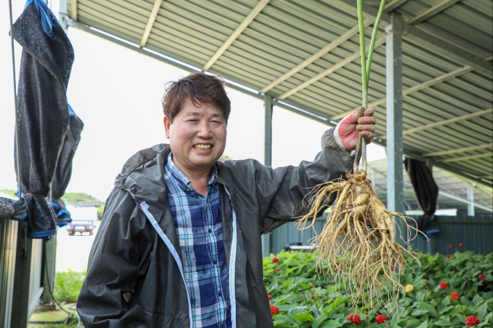 직접 키운 인삼을 보고 미소 짓는 황호필 장로. 황호필 장로 제공