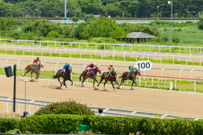 마사회 렛츠런파크 부산경남에서 경마가 진행되고 있다. 마사회 부산경남본부 제공