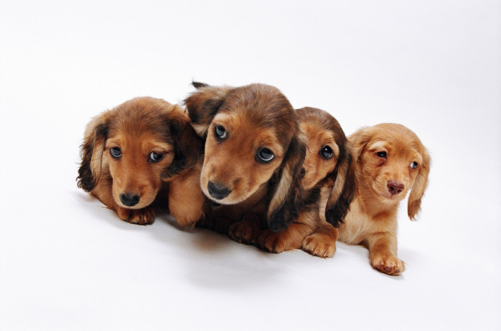 스마트이미지 제공