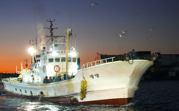 울진 죽변항에 어선이 입항하고 있다. 울진군 제공