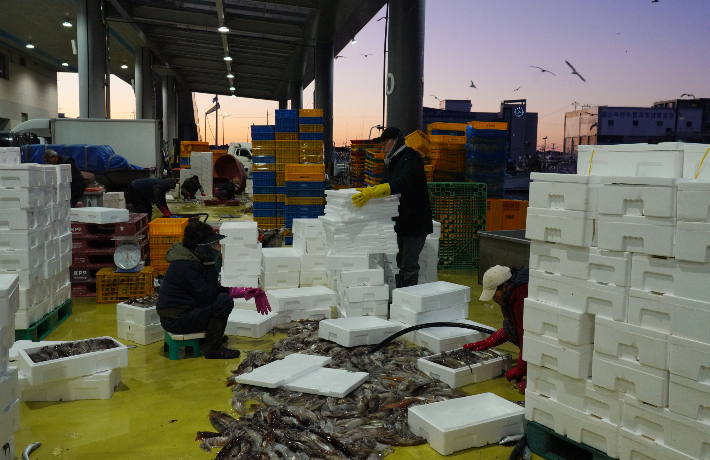 울진 죽변항. 울진군 제공