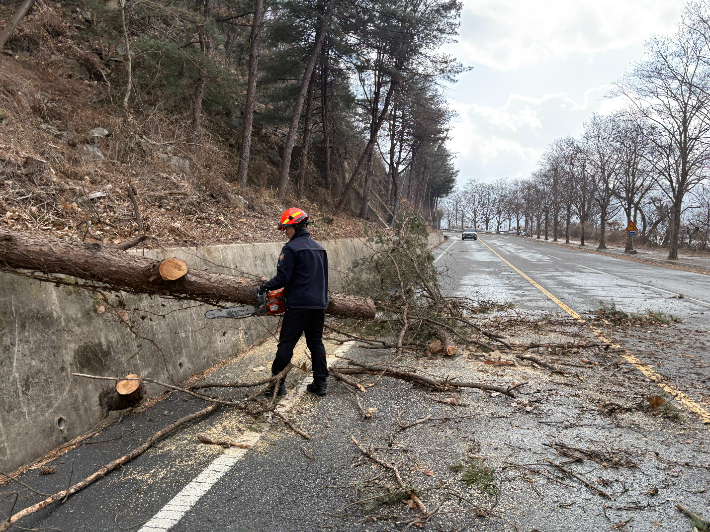 충북소방본부 제공