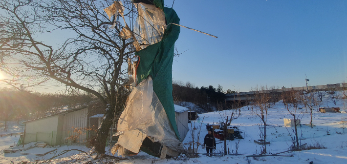 비닐하우스 강풍 피해. 경북소방본부 제공