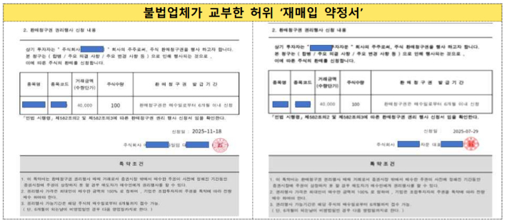 금융감독원 제공