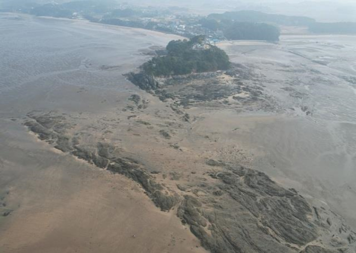 직언도 갯벌. 보령해경 제공