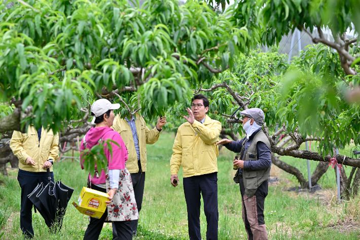 김광열 영덕군수가 농가를 방문해 과수를 직접 살피고 있다. 영덕군 제공
