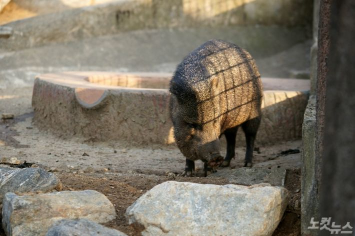위 사진은 기사 내용과 관련이 없음. 자료사진