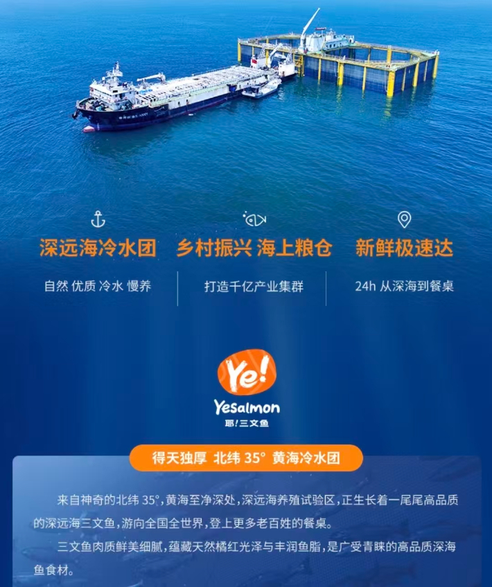 중국 온라인쇼핑몰 타오바오에서 판매되고 있는 연어 제품 광고. 타오바오 캡처