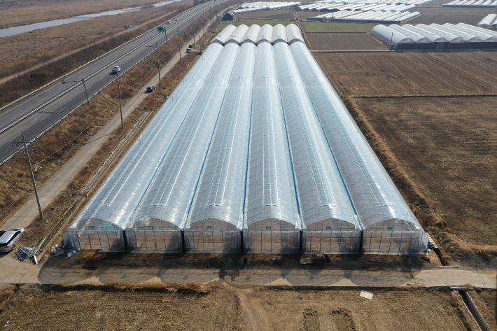 경주지역의 한 농산물 재배 비닐하우스. 경주시 제공