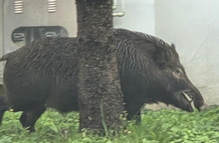 기사와 직접적 관련 없는 사진. 연합뉴스