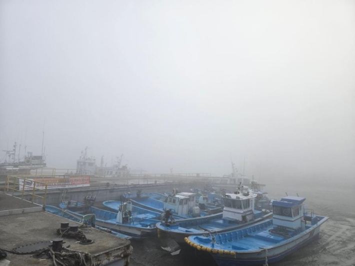 짙은 안개가 낀 군산항. 기사와 직접적 관계 없음. 군산해경 제공