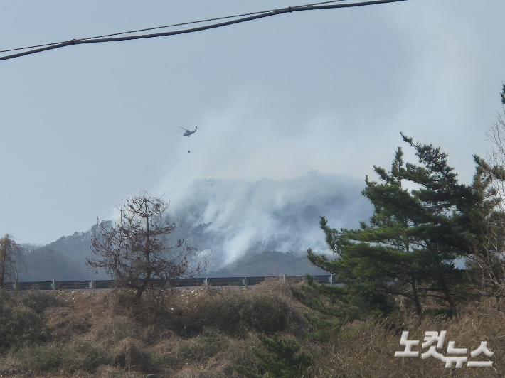 2025년 3월 발생한 울산 울주군 온양읍 대운산 산불 현장. 이상록 기자