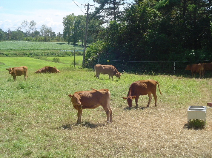 축산 시험장. 전라남도 제공