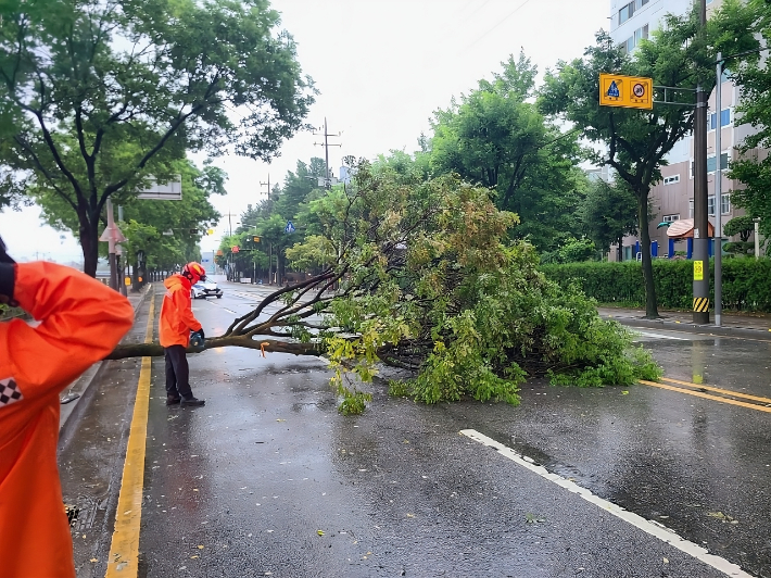 하루 평균 123.4번 출동한 전북소방…출동은 줄었지만 위험 요인 많아져