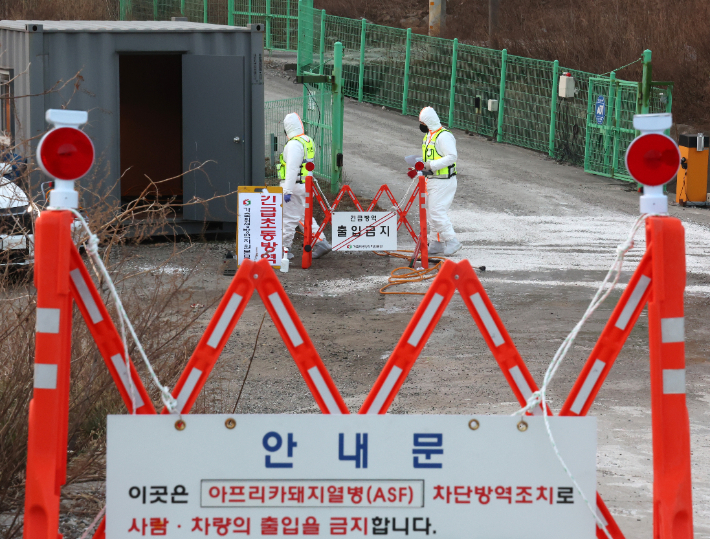17일 아프리카돼지열병(ASF) 발생이 확인된 강원 강릉시 한 양돈농가에서 방역 관계자들이 출입을 통제하고 있다. 연합뉴스