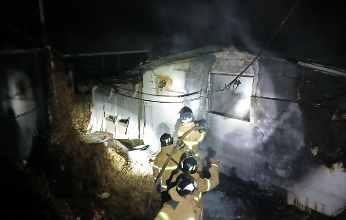 17일 오후 7시 33분쯤 경북 의성군 안계면의 한 돈사에서 불이 나 돼지 340두가 폐사했다. 경북소방본부 제공 