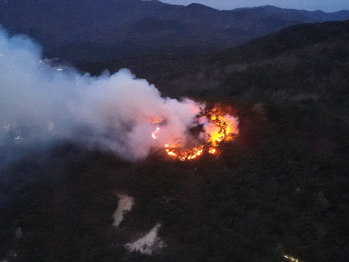 울산 울주군 작천정계곡 인근 야산 화재. 울산소방본부 제공