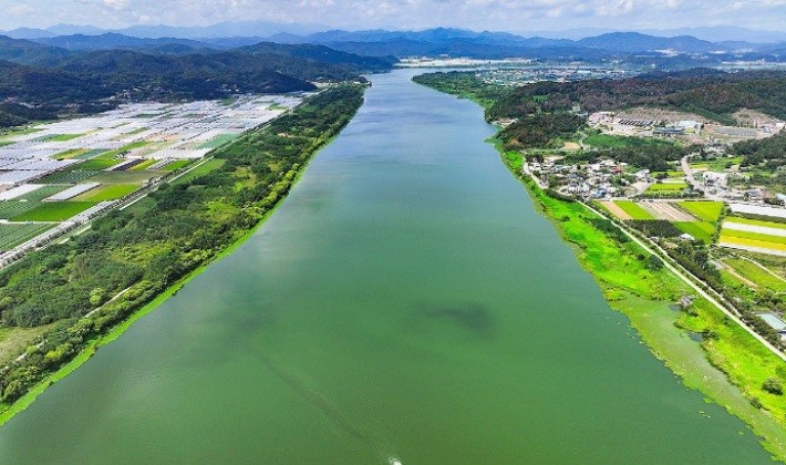 녹조가 발생한 낙동강. 연합뉴스