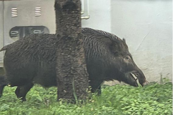 위 사진은 기사와 연관이 없음. 연합뉴스