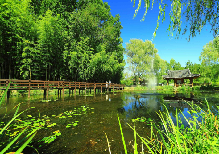 전남 관광지인 담양 죽녹원. 전라남도 제공