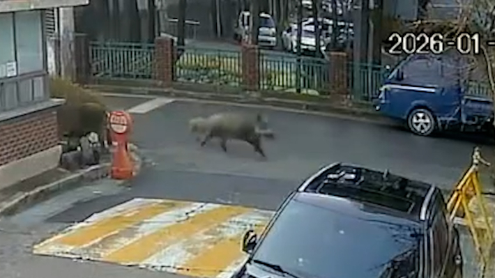 대전 서구 제공