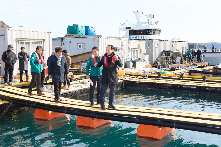 통영시 가두리양식장 점검. 통영시청 제공 