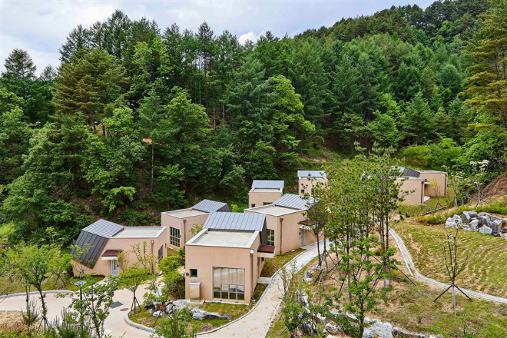 금강송에코리움 숙박동. 울진군 제공