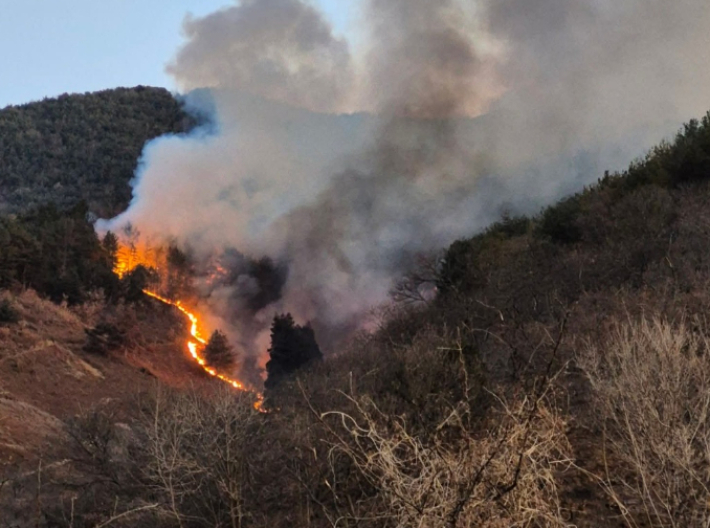 지난 21일 오후 3시 2분쯤 옥곡면의 한 주택에서 발생한 불이 강풍을 타고 인근 야산으로 번졌다. 독자 제공 