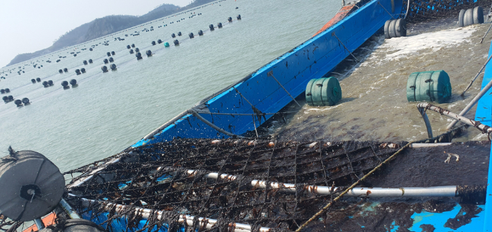 김 활성 처리 작업. 전라남도 제공