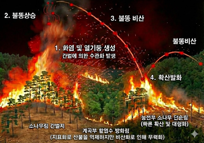 안동환경운동연합 제공