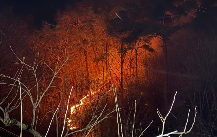 지난 22일 오후 전남 곡성군 오산면 한 야산에서 불이 나 연기가 치솟고 있다. 전남소방본부 제공