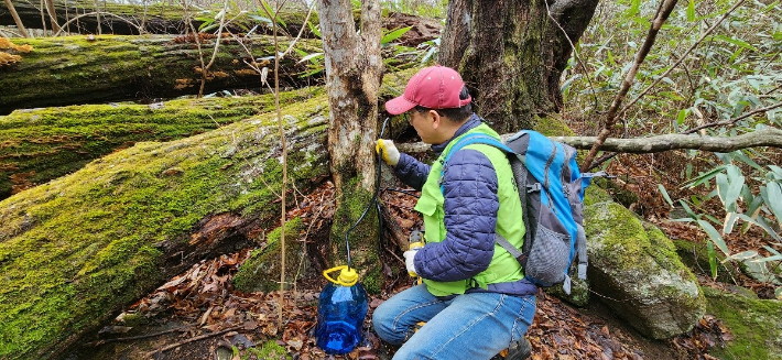 고로쇠 채취. 전라남도 제공