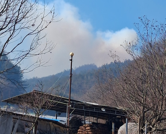 23일 오후 12시 29분쯤 경북 봉화군 재산면 현동리의 야산에서 난 불이 1시간 50여 분만에 진화됐다. 경북소방본부 제공